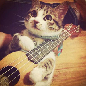 🈲🈲母狗淫水
